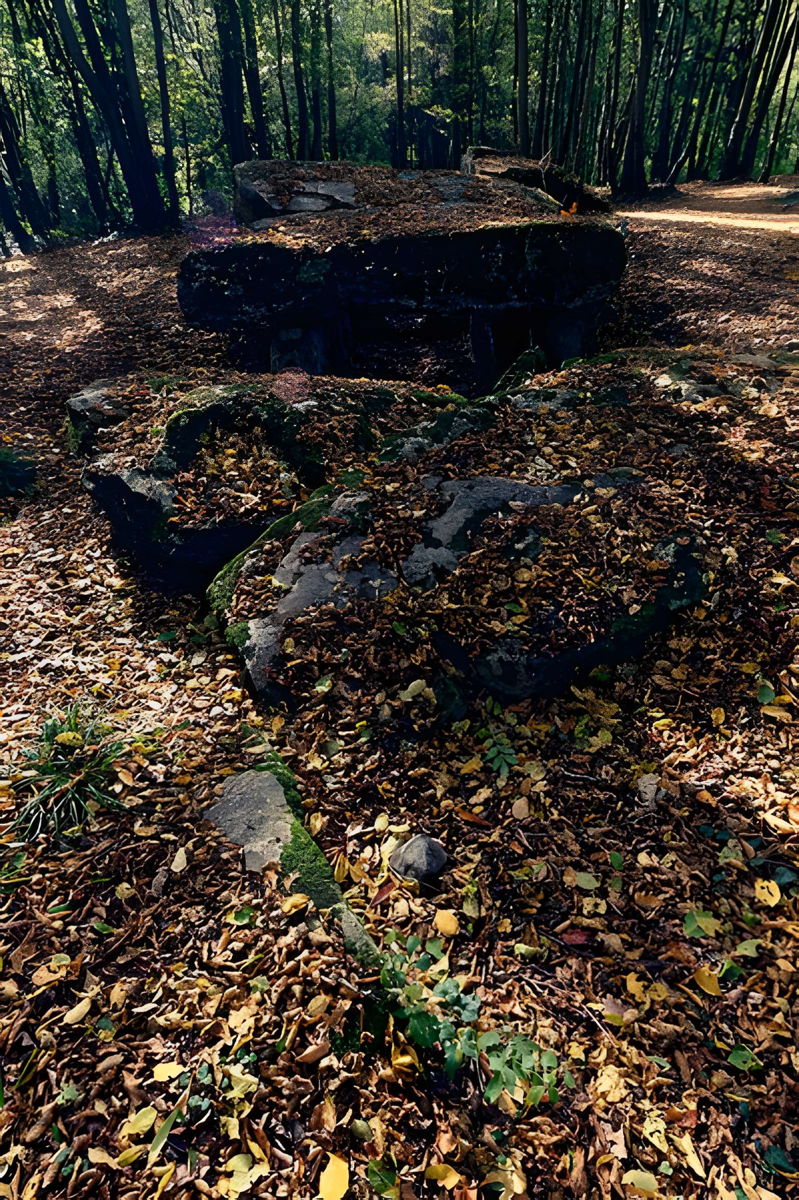 Allée couverte de Dampsmesnil