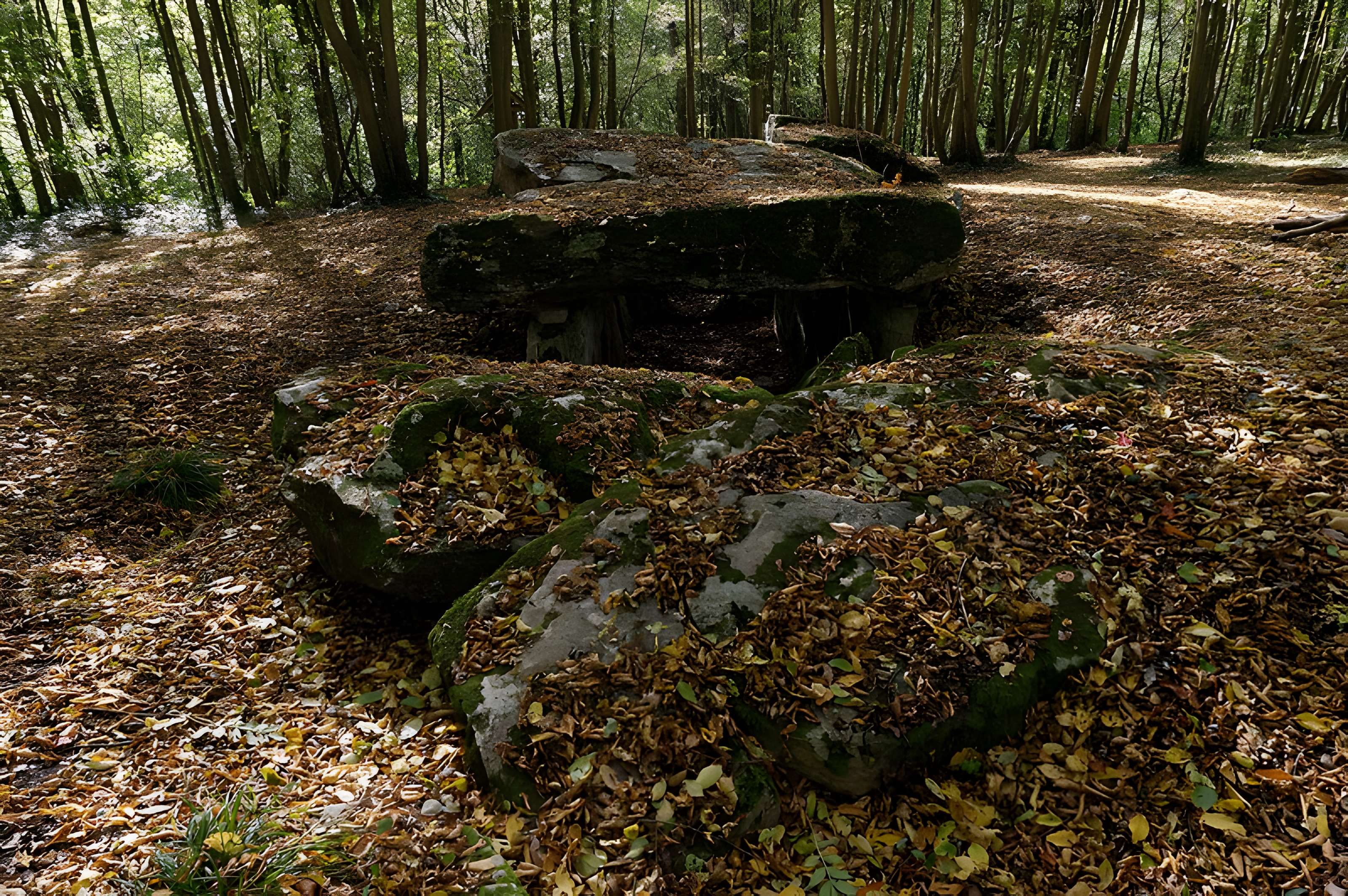 Allée couverte de Dampsmesnil