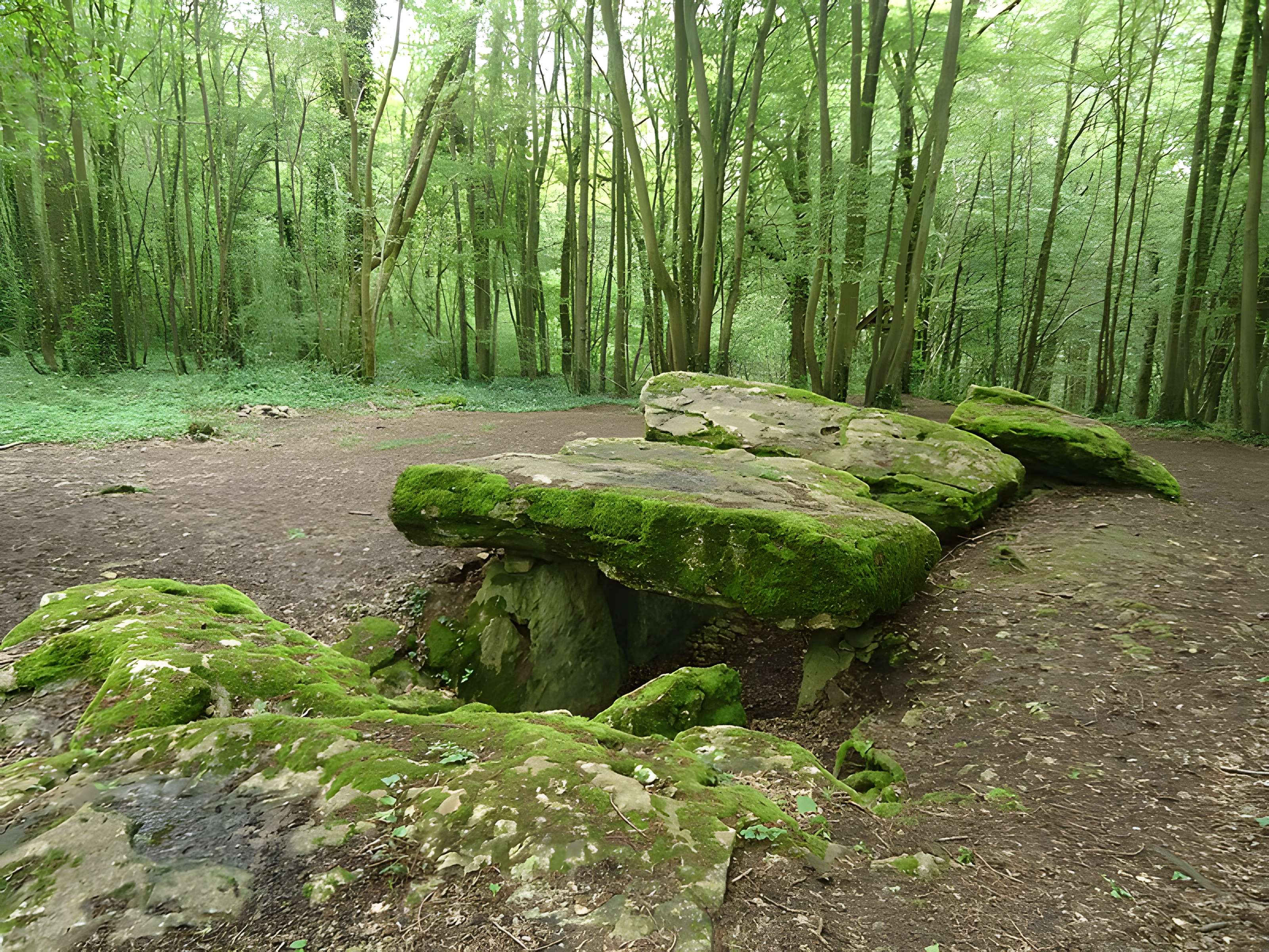 Allée couverte de Dampsmesnil