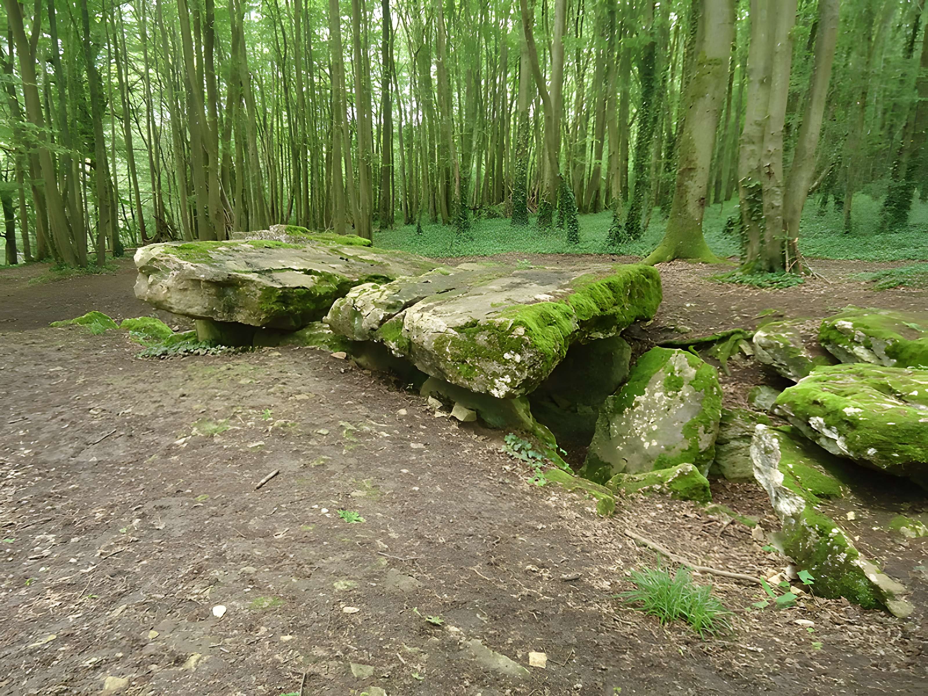 Allée couverte de Dampsmesnil