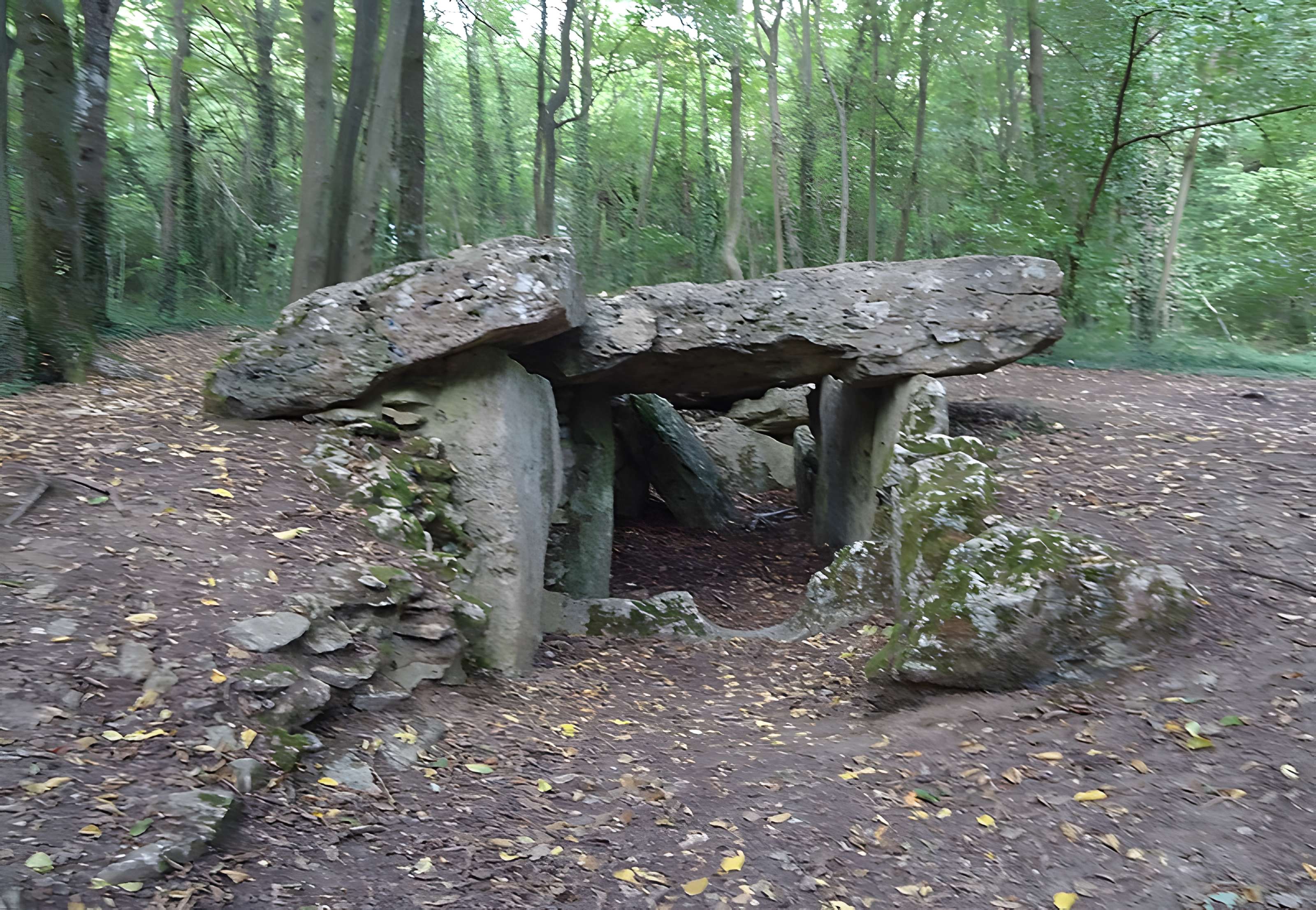 Allée couverte de Dampsmesnil