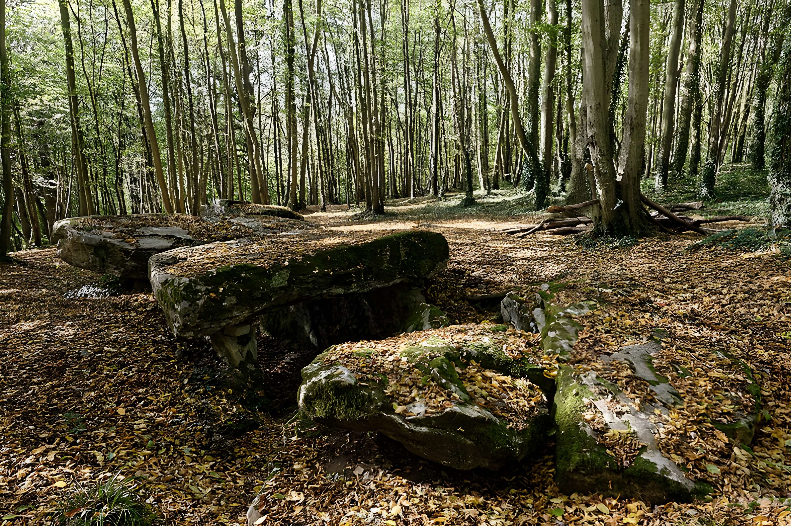 Allée couverte de Dampsmesnil