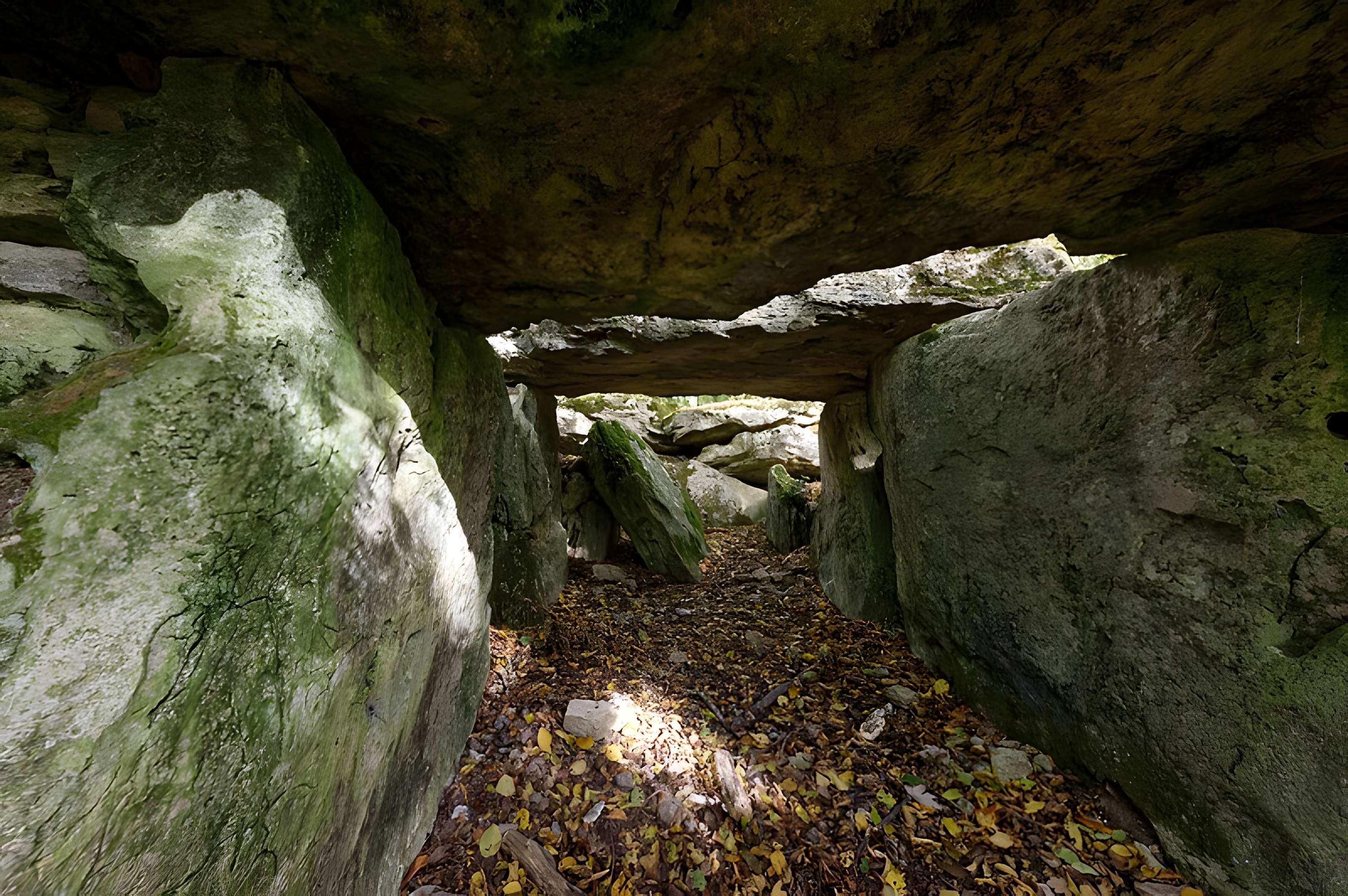 Allée couverte de Dampsmesnil