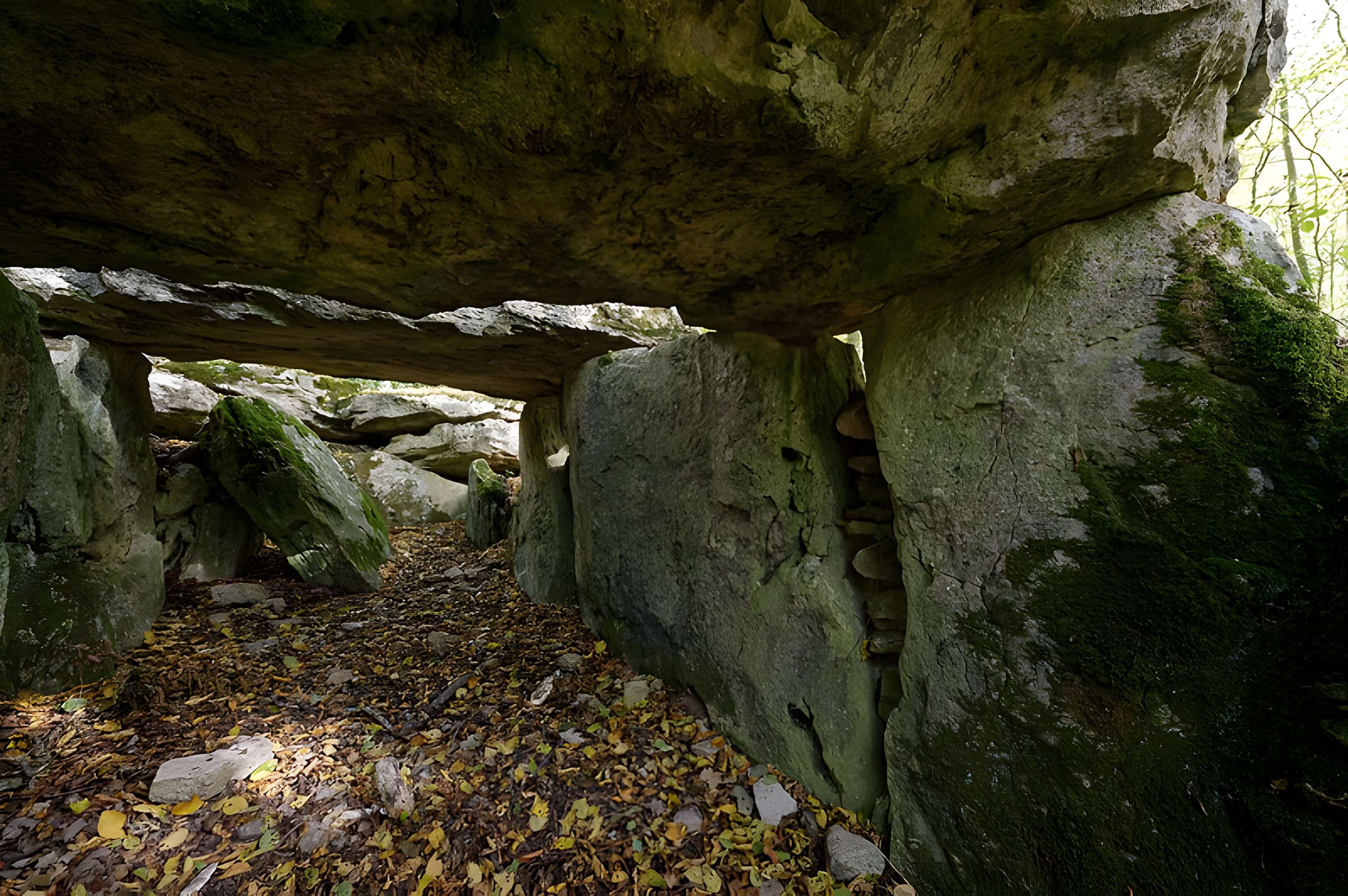 Allée couverte de Dampsmesnil