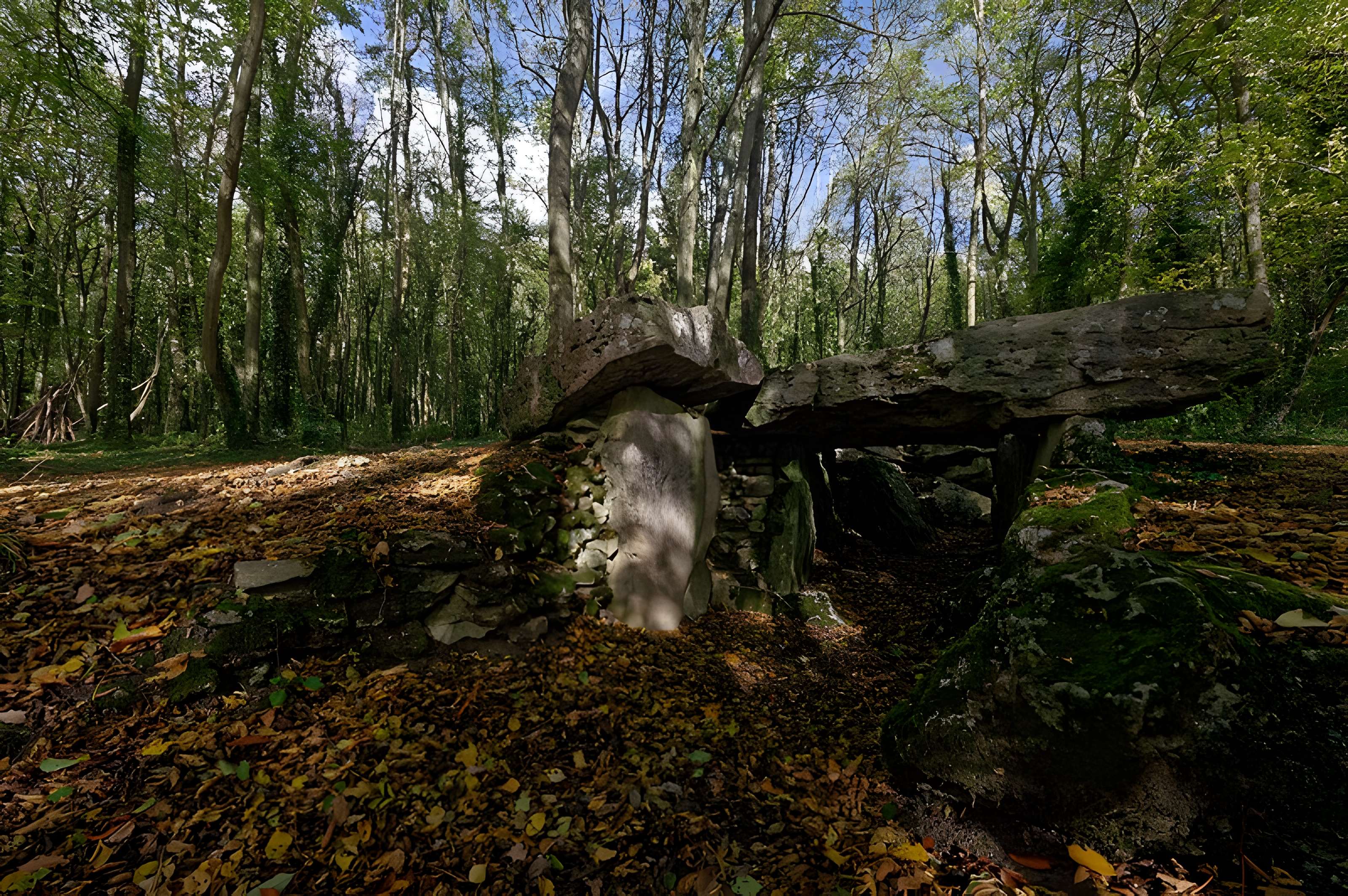 Allée couverte de Dampsmesnil