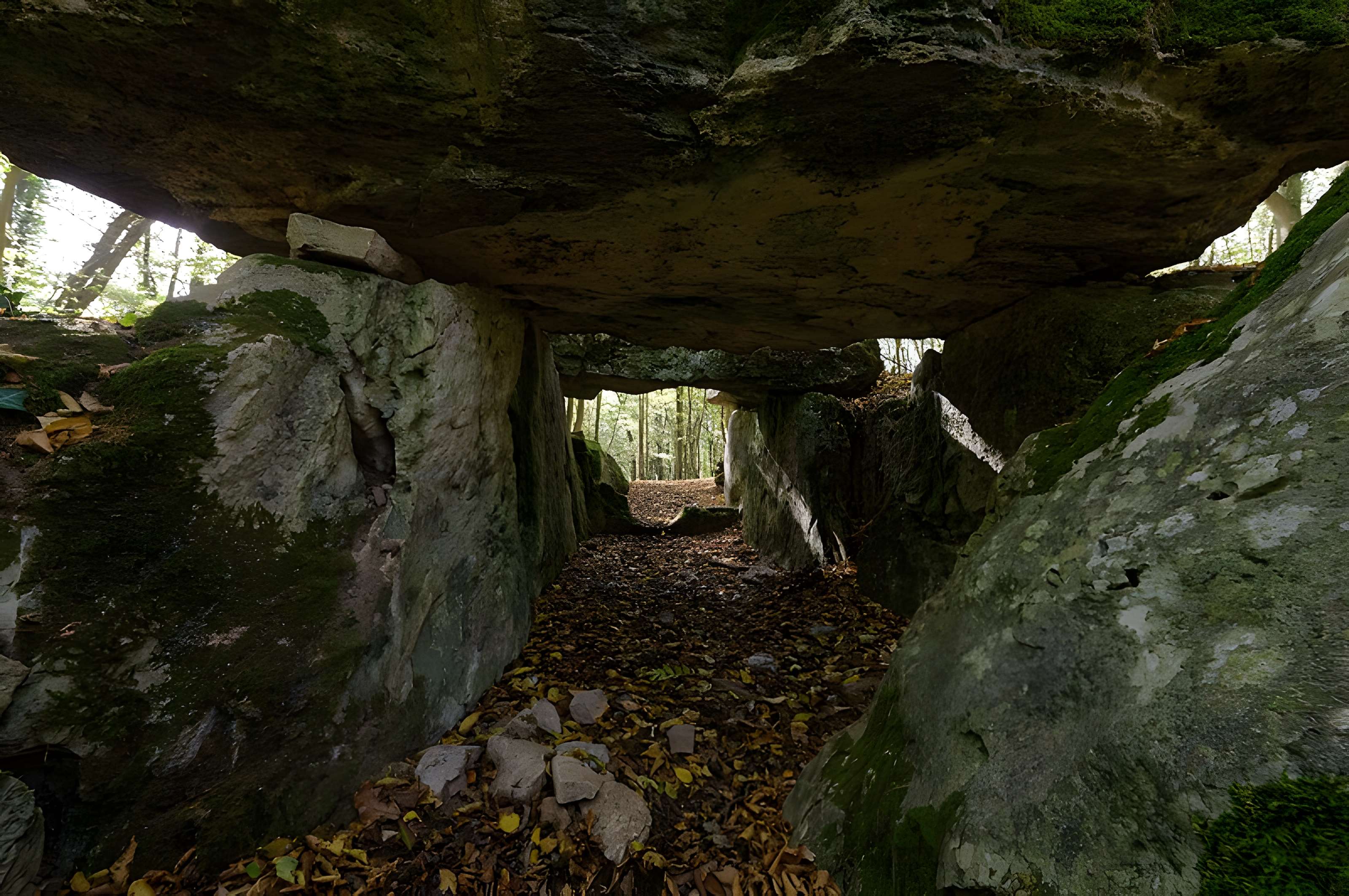 Allée couverte de Dampsmesnil