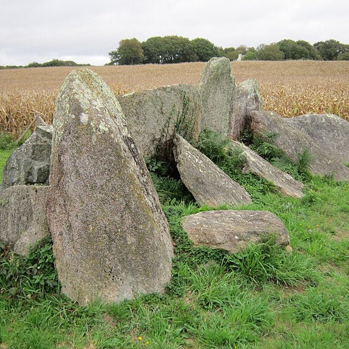 Photo de Allée couverte de Kerantiec à Riec-sur-Bélon