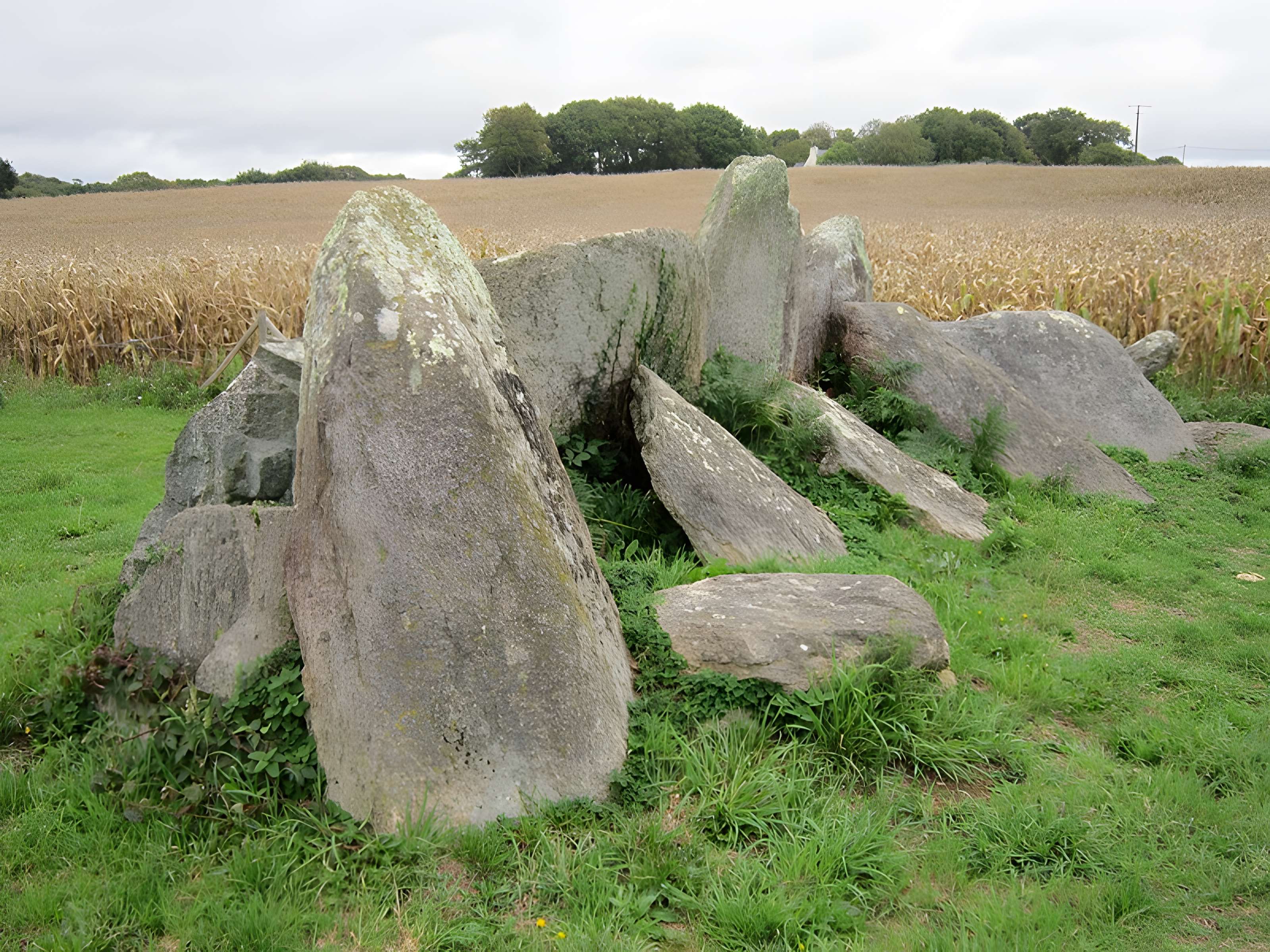 Allée couverte de Kerantiec à Riec-sur-Bélon