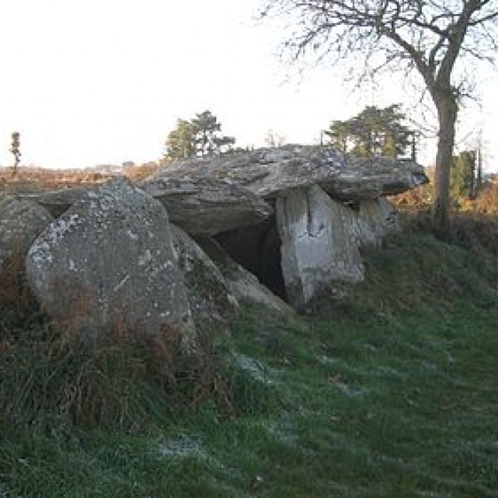 Photo de Allée couverte de Kerbalannec à Beuzec-Cap-Sizun