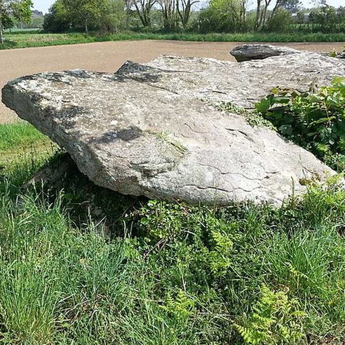 Photo de Allée couverte de Kerbalannec à Beuzec-Cap-Sizun