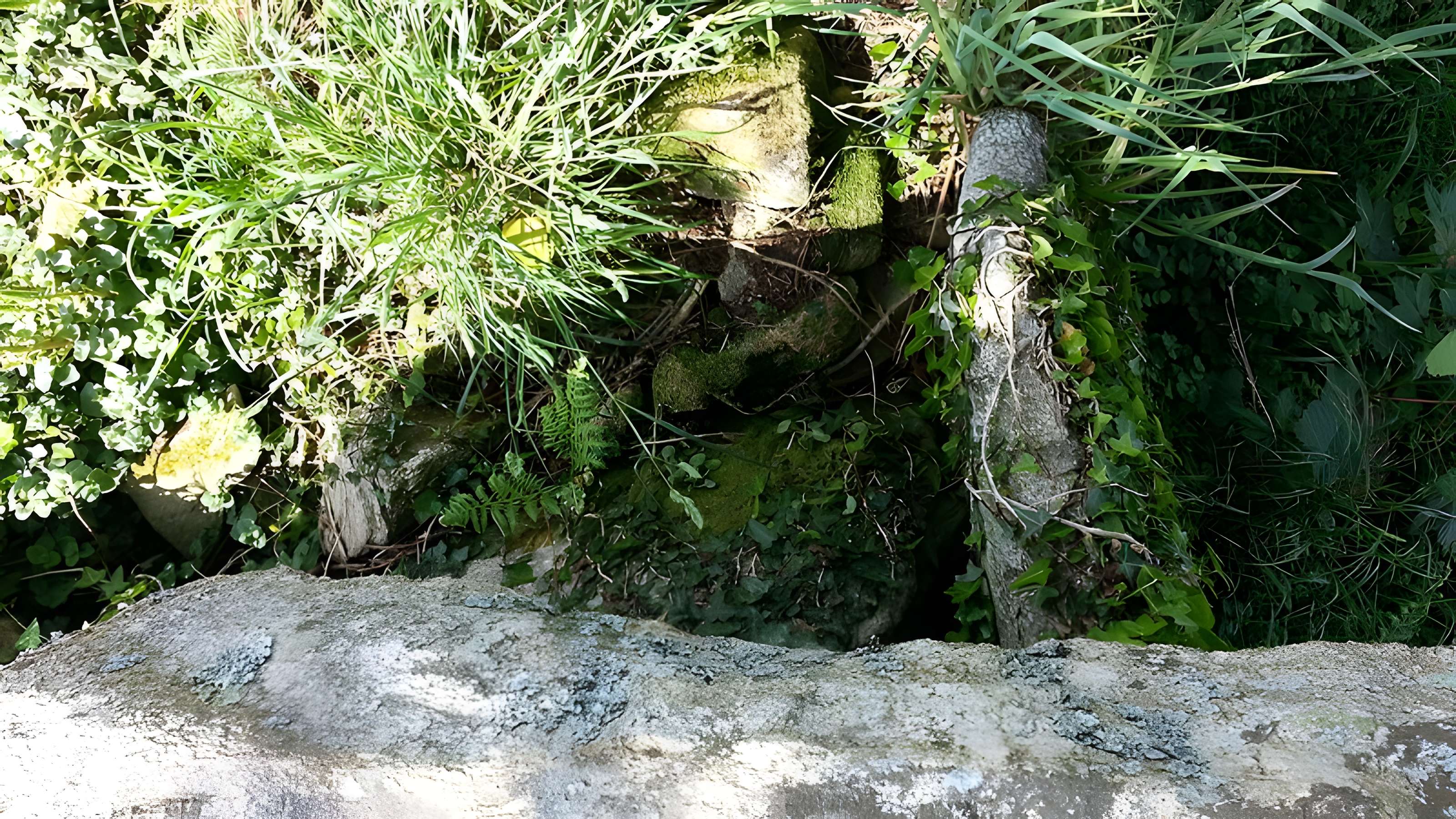 Allée couverte de Kerbalannec à Beuzec-Cap-Sizun