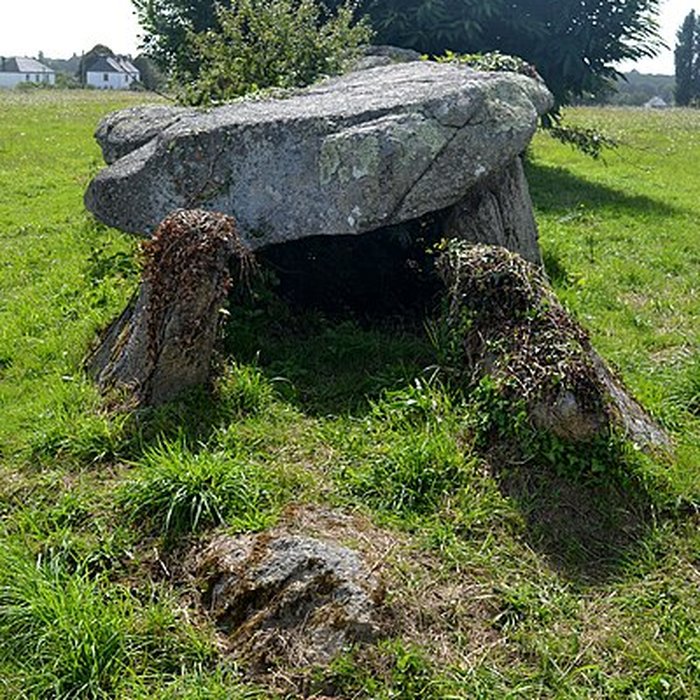 Photo de Allée couverte de Kergoustance à Moëlan-sur-Mer