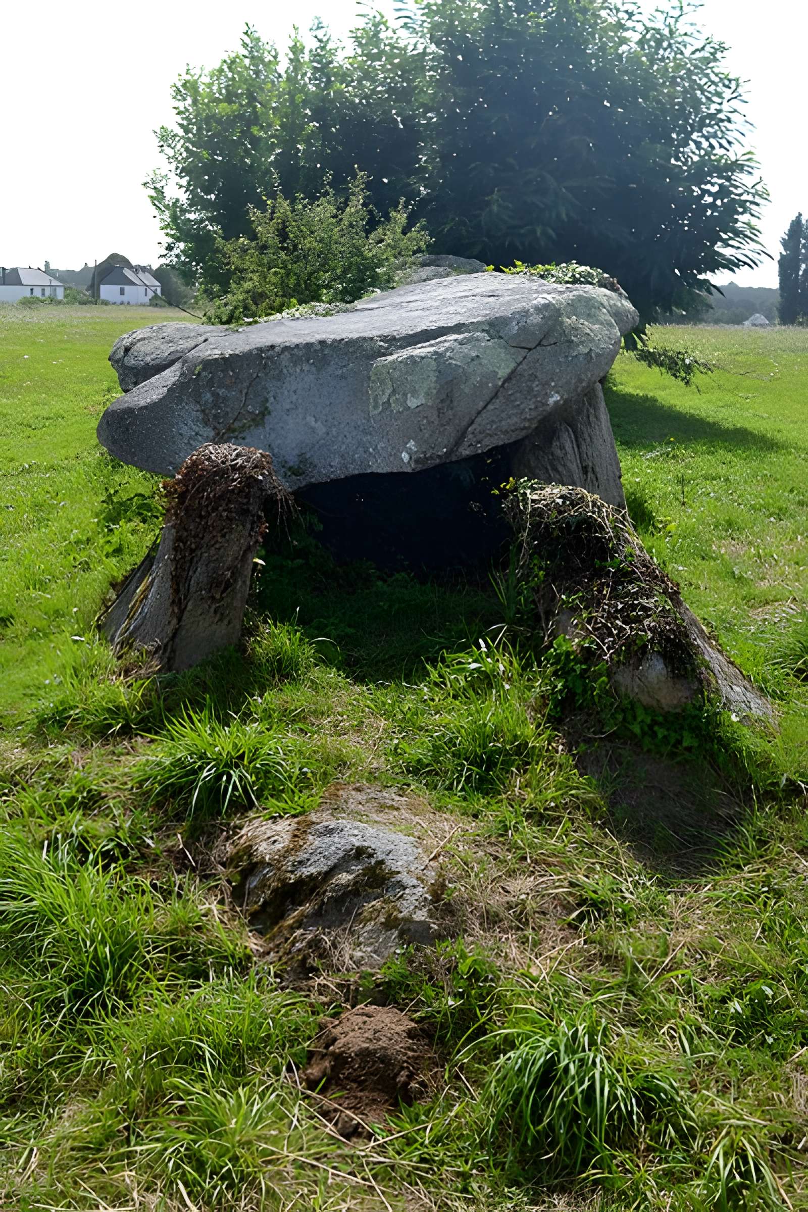 Allée couverte de Kergoustance à Moëlan-sur-Mer