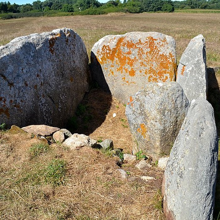 Photo de Allée couverte de Kerugon à Plomeur