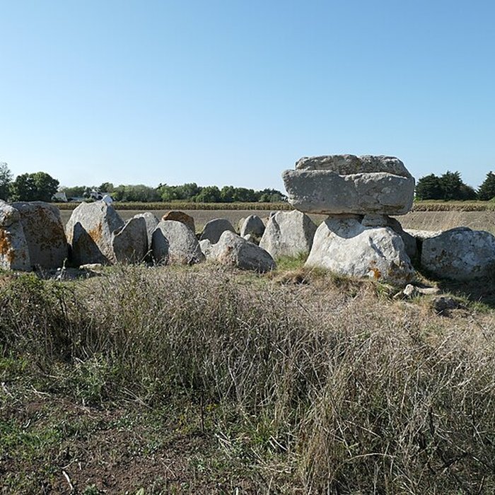 Photo de Allée couverte de Kerugon à Plomeur