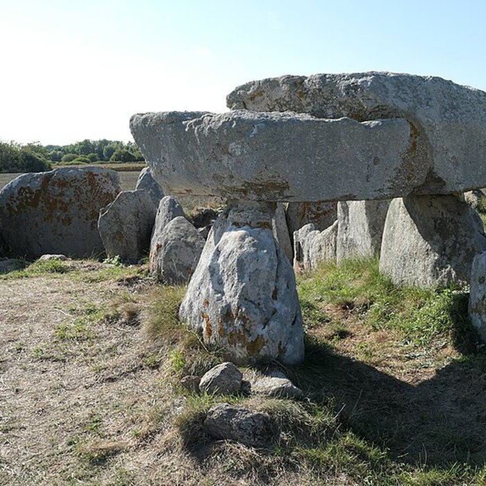 Photo de Allée couverte de Kerugon à Plomeur