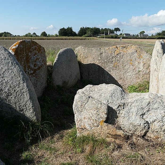 Photo de Allée couverte de Kerugon à Plomeur