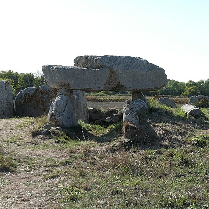 Photo de Allée couverte de Kerugon à Plomeur