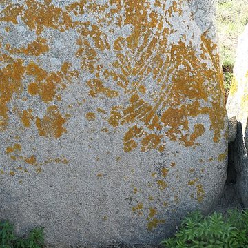 Allée couverte de Kerugon à Plomeur