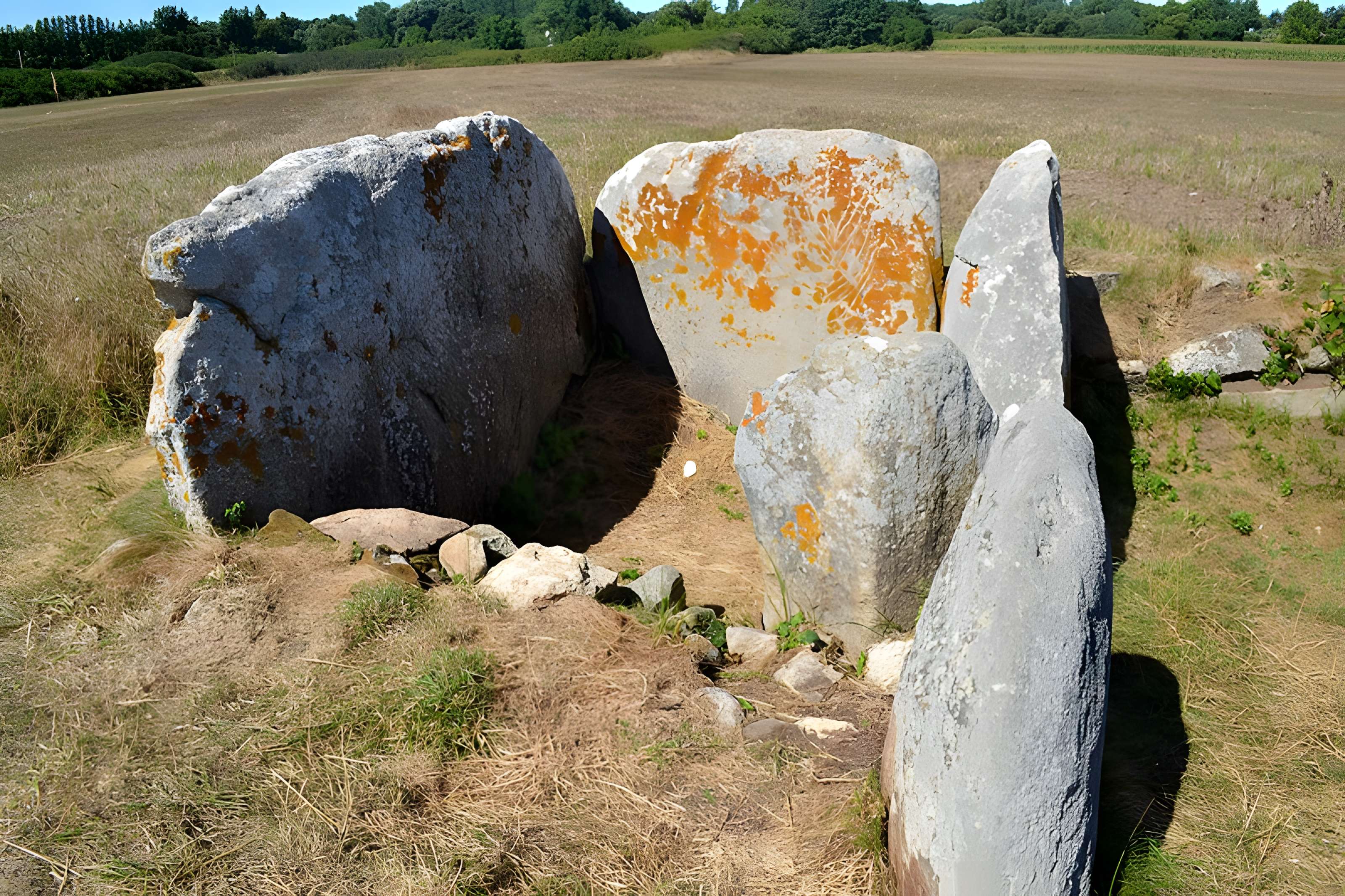 Allée couverte de Kerugon à Plomeur