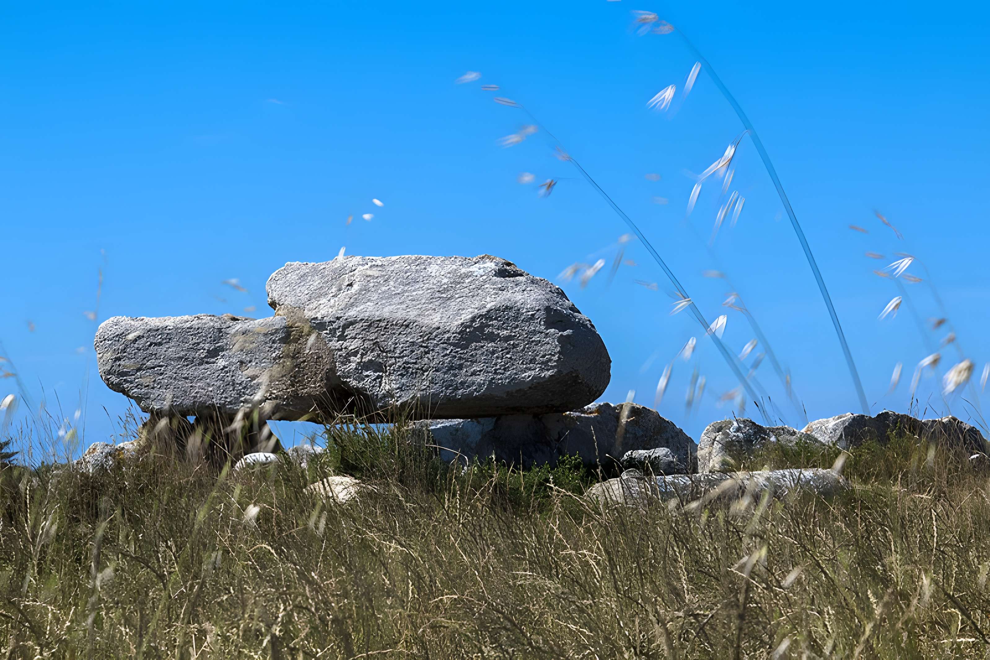 Allée couverte de Kerugon à Plomeur