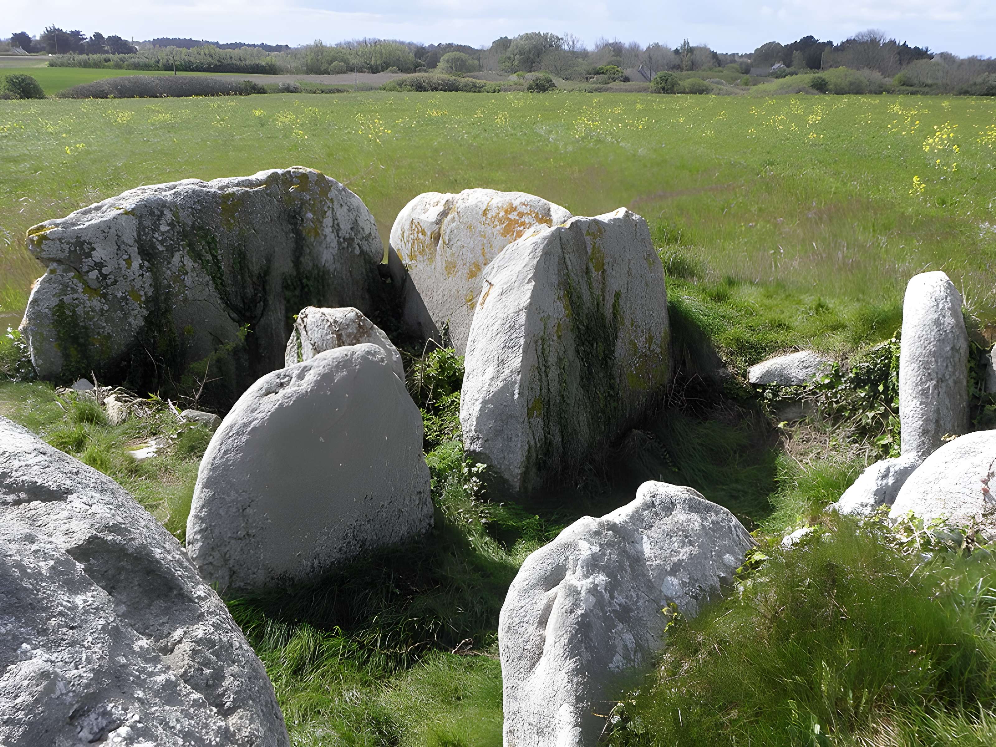 Allée couverte de Kerugon à Plomeur