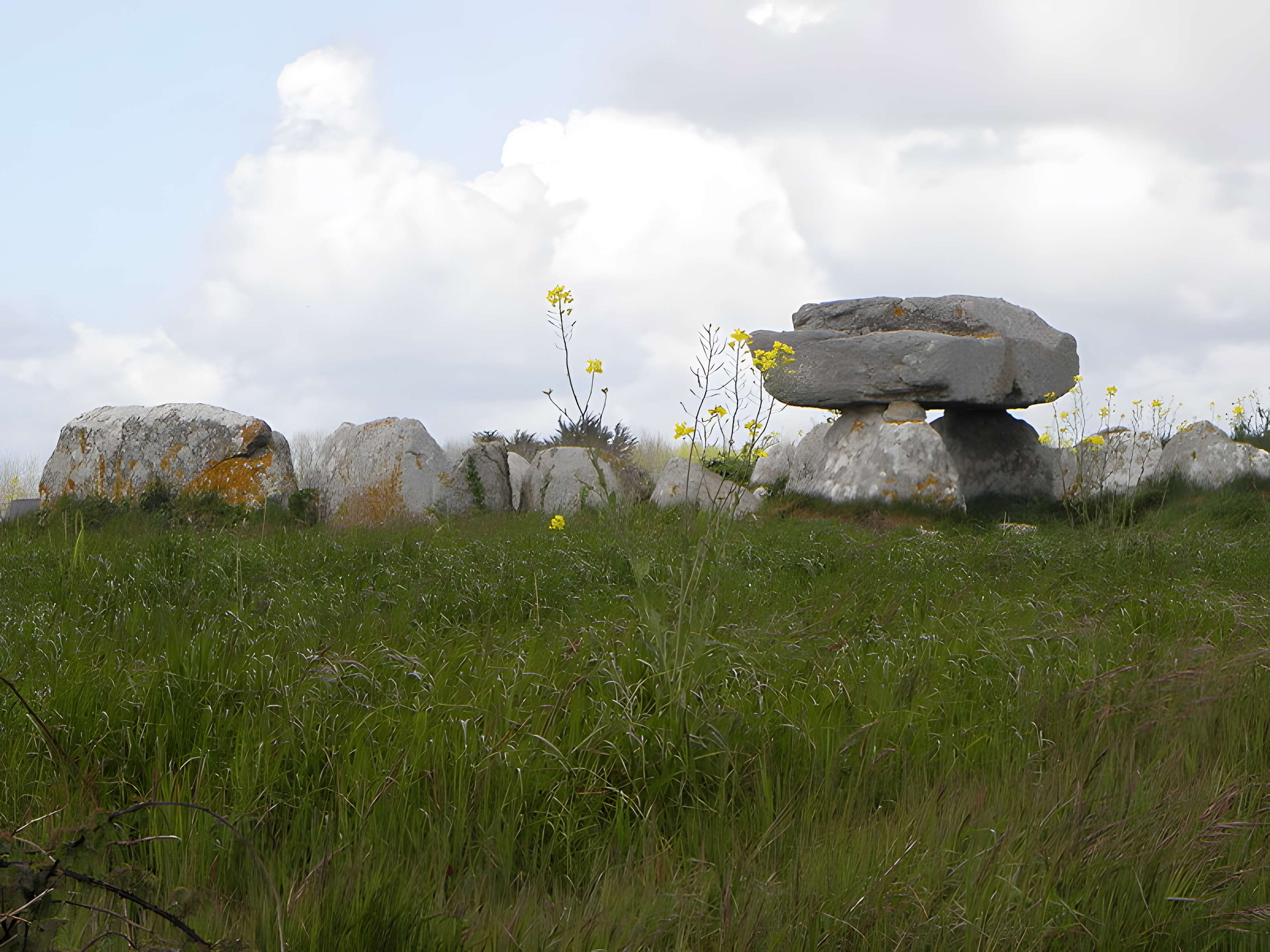 Allée couverte de Kerugon à Plomeur