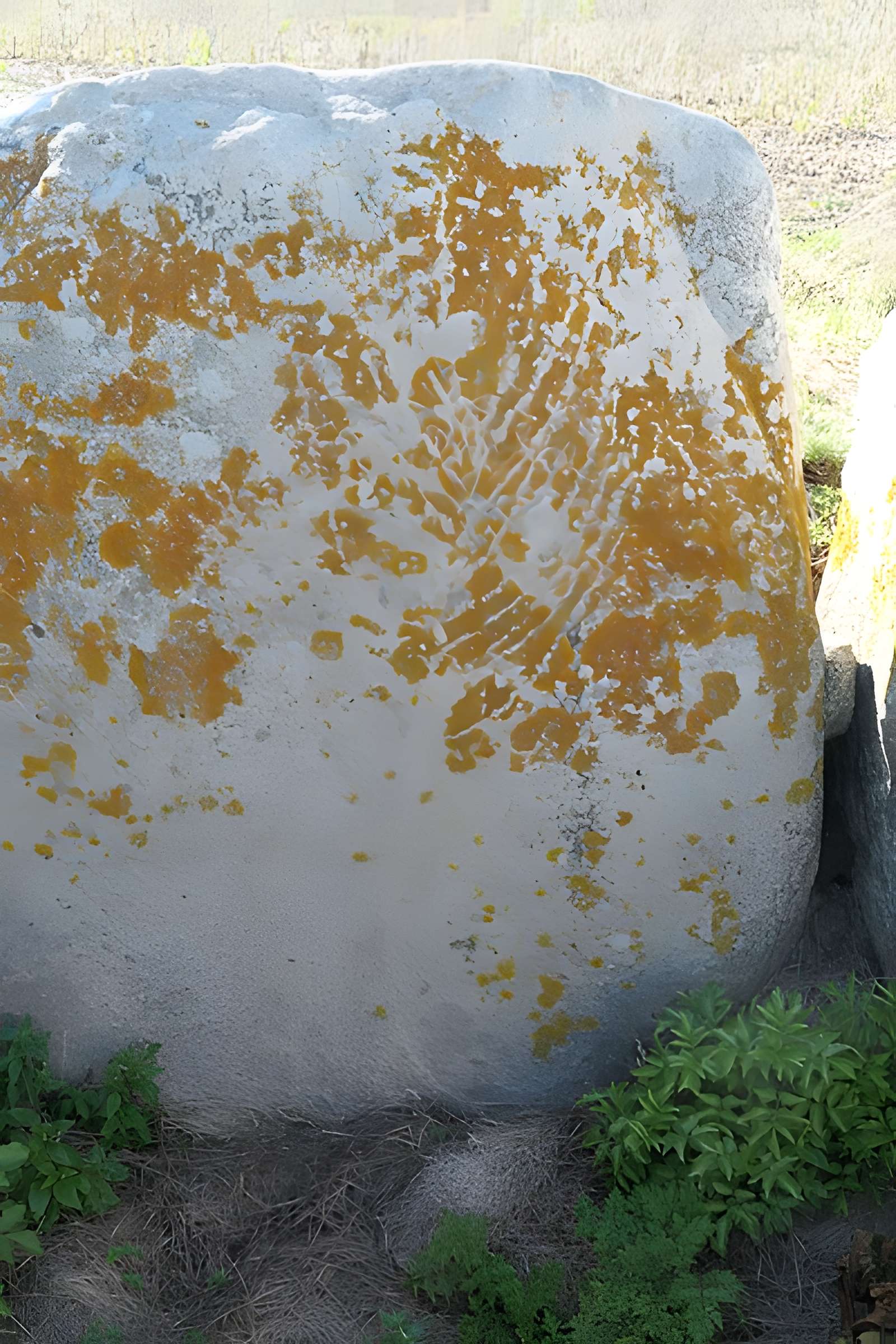 Allée couverte de Kerugon à Plomeur