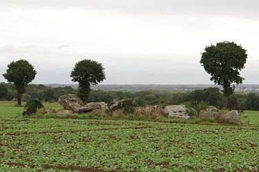 Photo de Allée couverte de la Hautière à Trégon