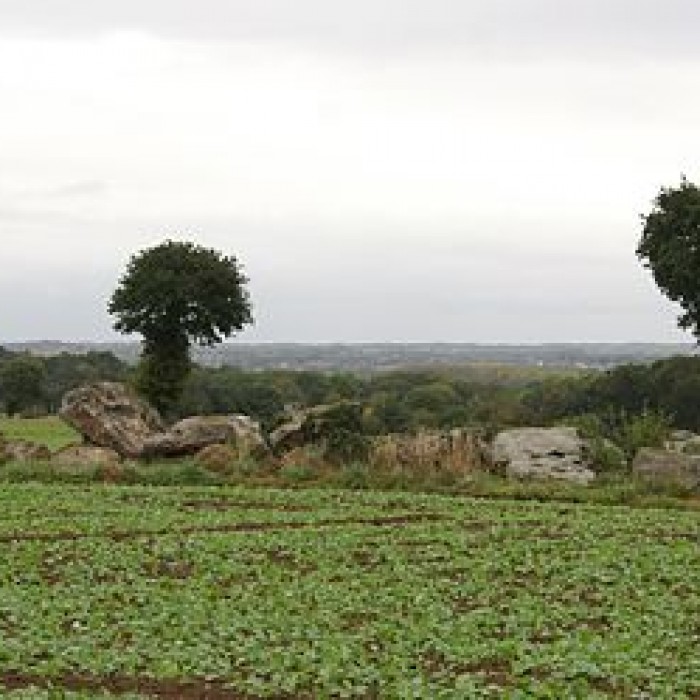 Photo de Allée couverte de la Hautière dite Le Tombeau