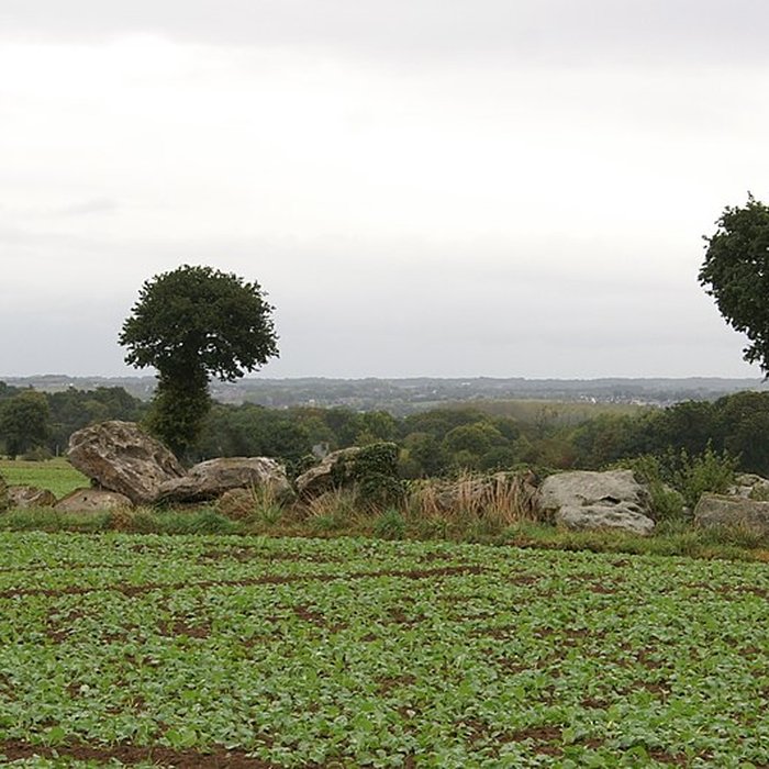 Photo de Allée couverte de la Hautière dite Le Tombeau