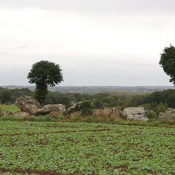 Allée couverte de la Hautière dite Le Tombeau
