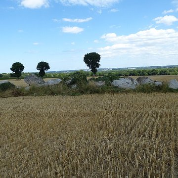 Allée couverte de la Hautière dite Le Tombeau