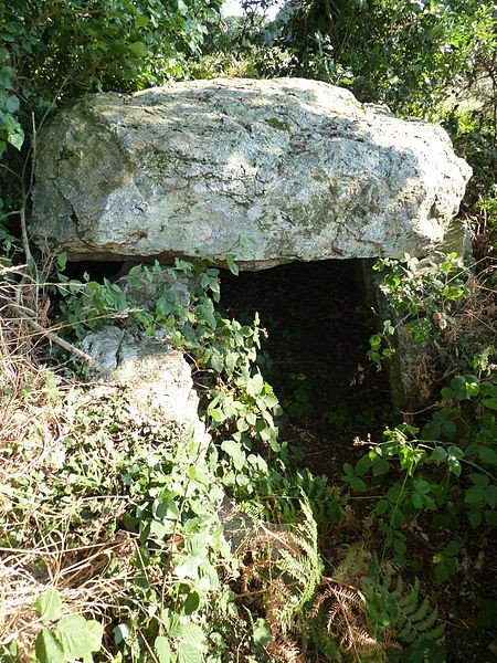 Photo de Allée couverte de La Roche aux Fées de la Brousse