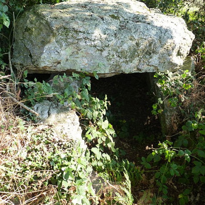 Photo de Allée couverte de La Roche aux Fées de la Brousse