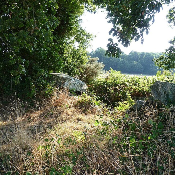 Photo de Allée couverte de La Roche aux Fées de la Brousse