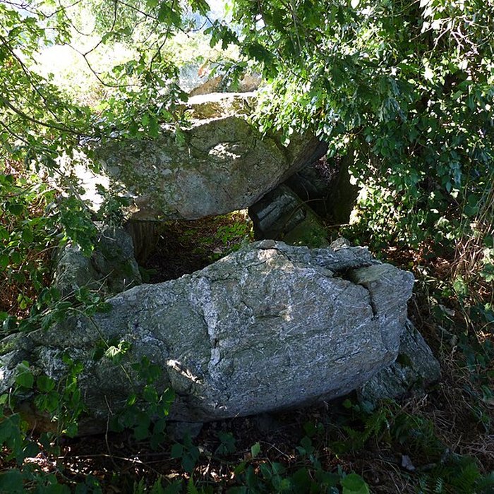 Photo de Allée couverte de La Roche aux Fées de la Brousse