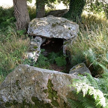Allée couverte de La Roche aux Fées de la Brousse