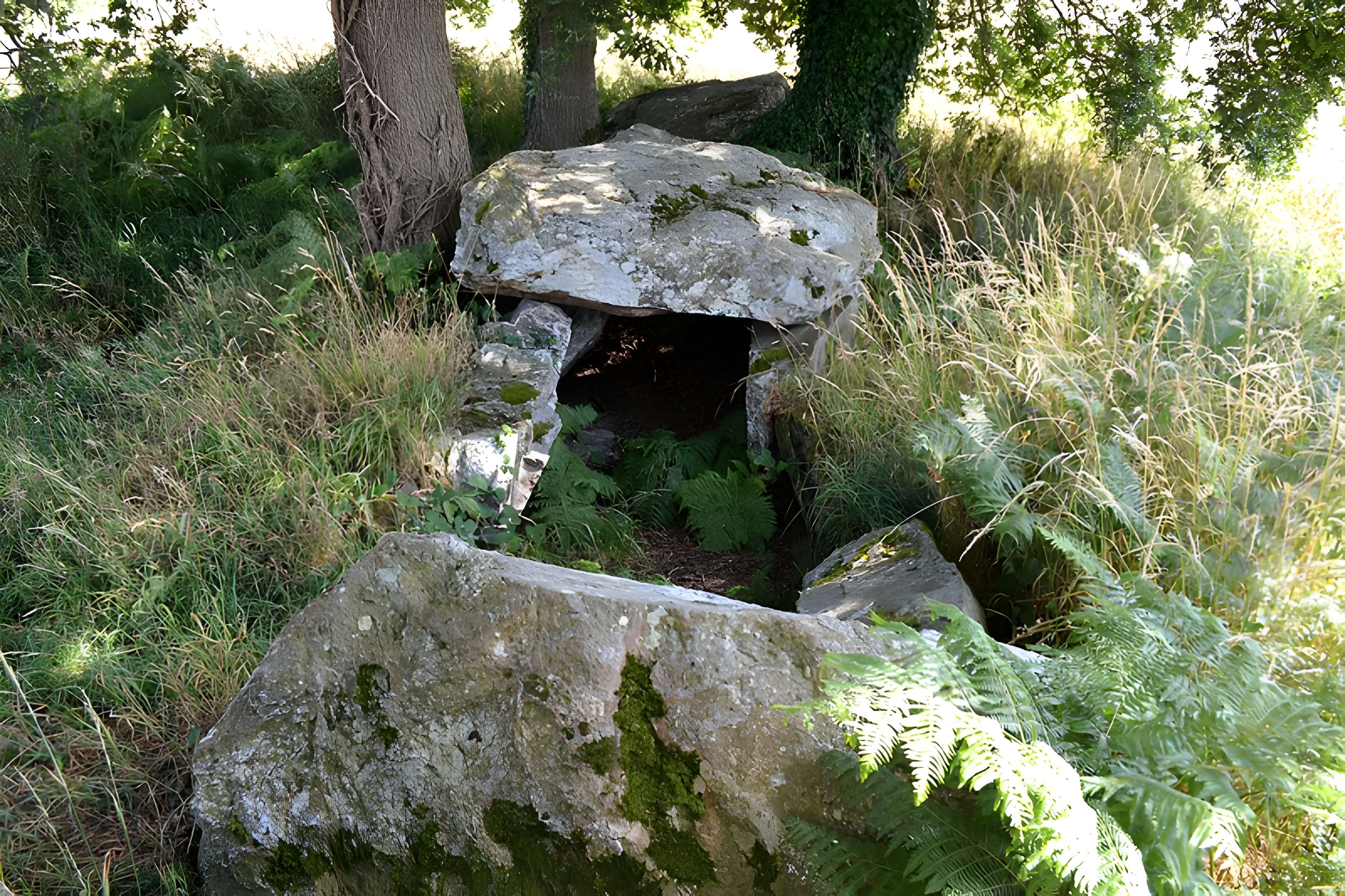 Allée couverte de La Roche aux Fées de la Brousse