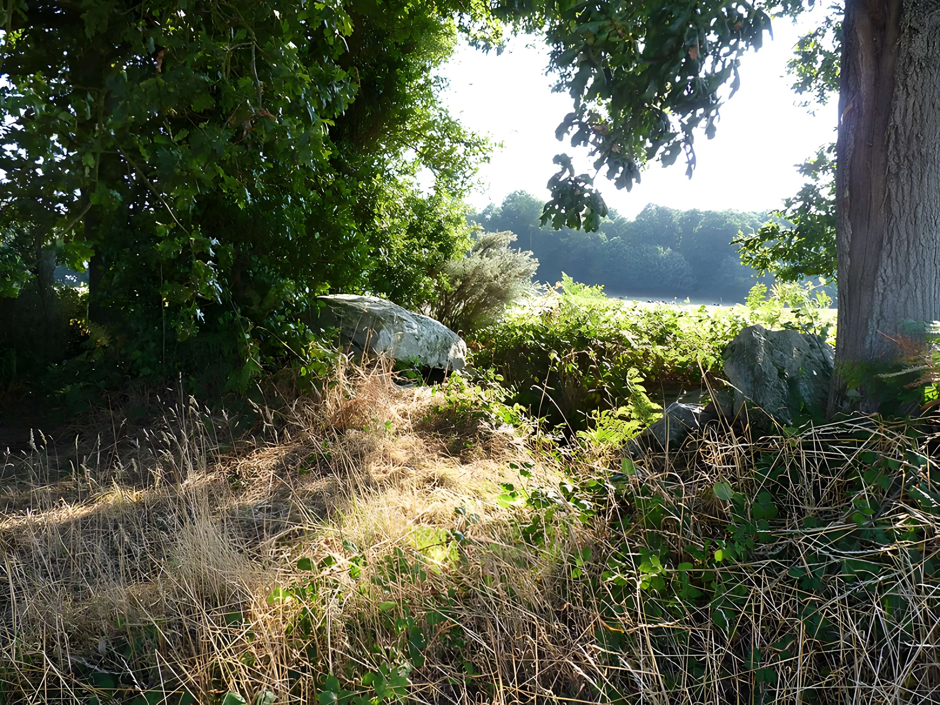 Allée couverte de La Roche aux Fées de la Brousse