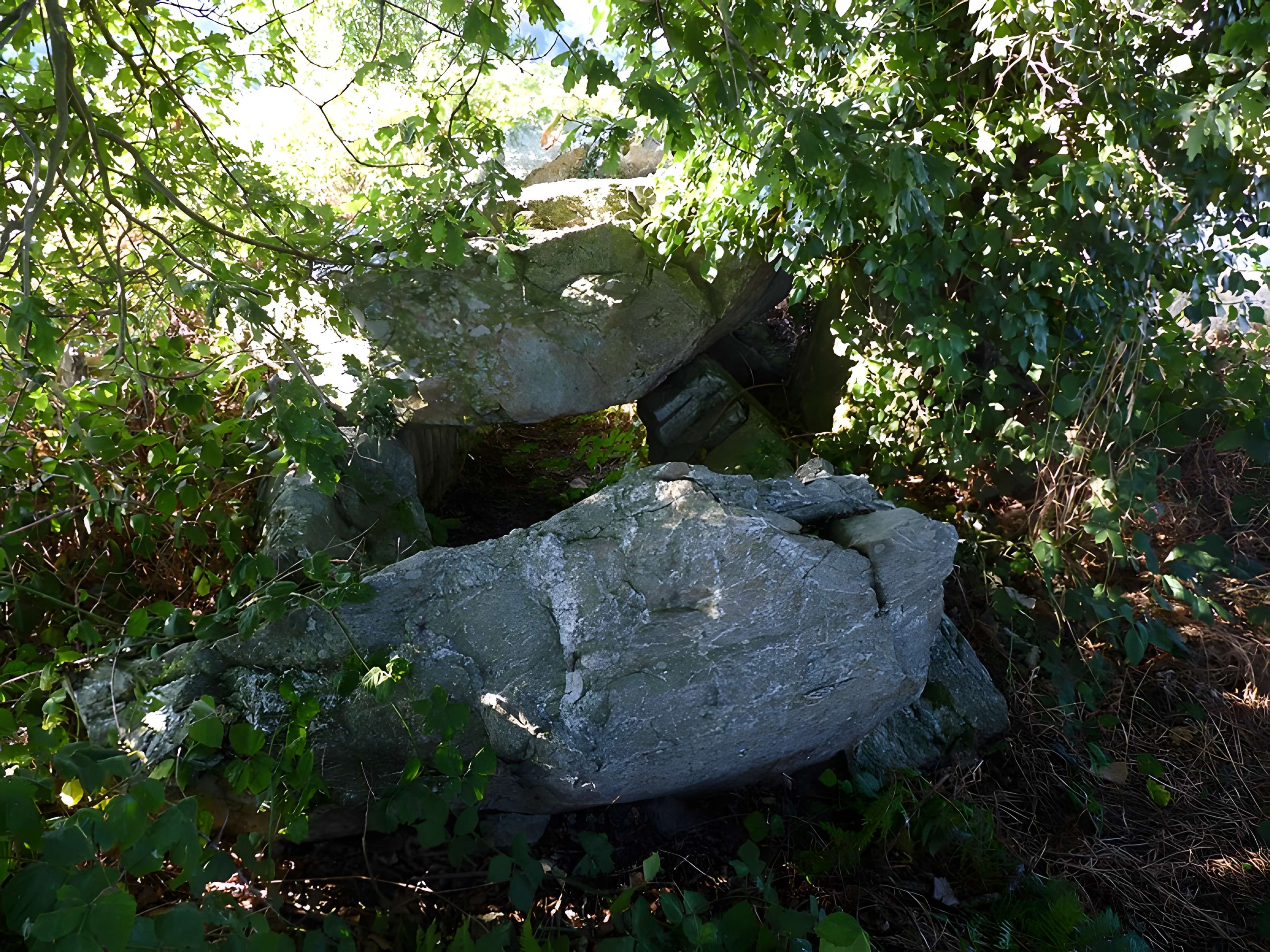 Allée couverte de La Roche aux Fées de la Brousse