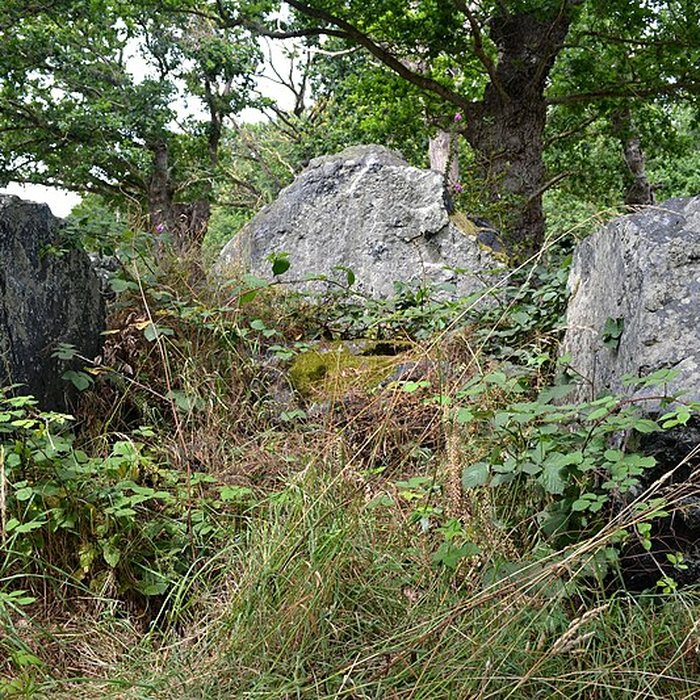 Photo de Allée couverte de La Roche Camio à Plédran