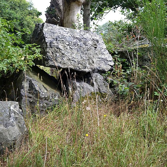 Photo de Allée couverte de La Roche Camio à Plédran
