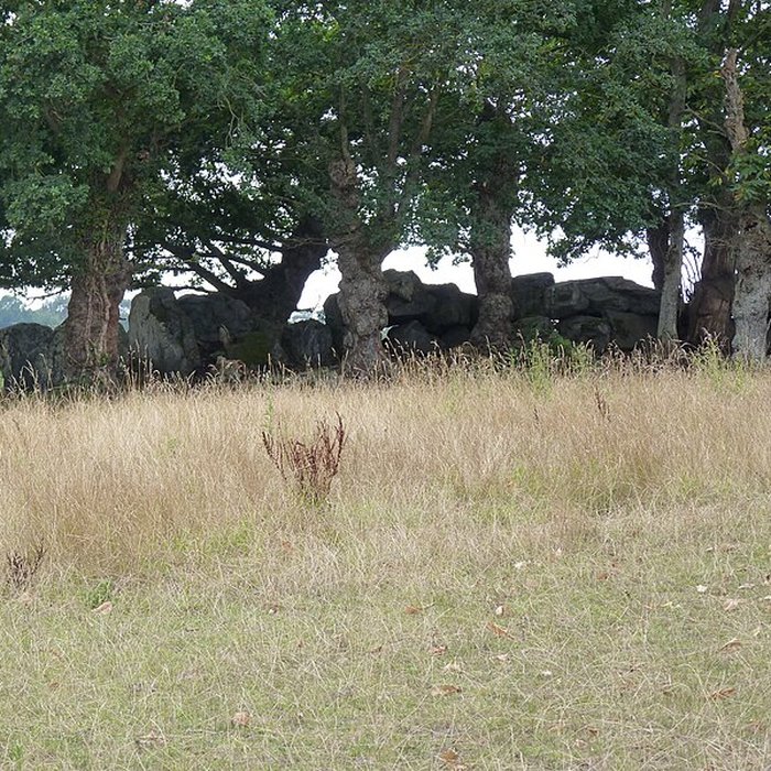 Photo de Allée couverte de La Roche Camio à Plédran