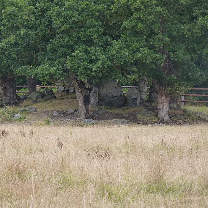 Photo de Allée couverte de La Roche Camio à Plédran