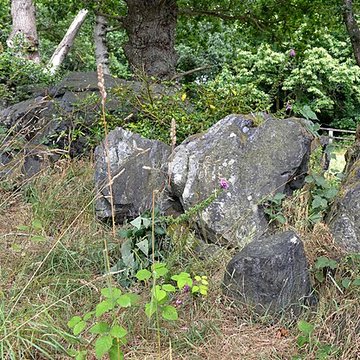 Allée couverte de La Roche Camio à Plédran