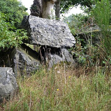 Allée couverte de La Roche Camio à Plédran