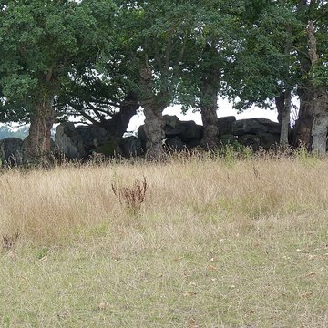 Allée couverte de La Roche Camio à Plédran