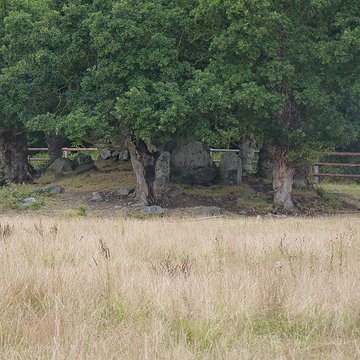 Allée couverte de La Roche Camio à Plédran