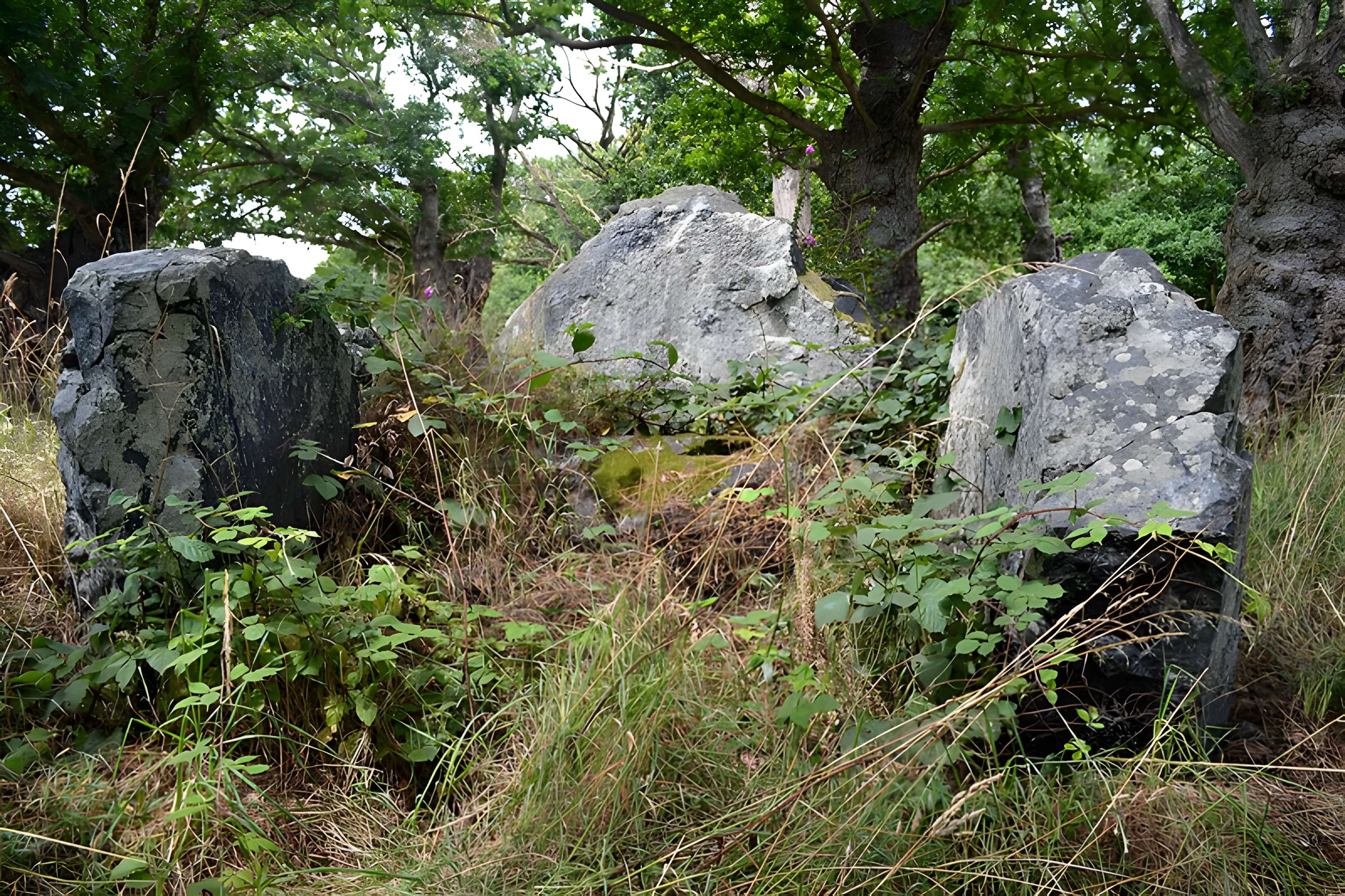 Allée couverte de La Roche Camio à Plédran